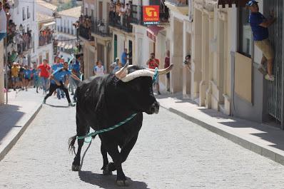 El toro de cuerda de Carcabuey vuelve a suspenderse por segundo año consecutivo a consecuencia de la Covid-19 El toro de cuerda de Carcabuey vuelve a suspenderse por segundo año consecutivo a consecuencia de la Covid-19