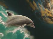 gracia delfín