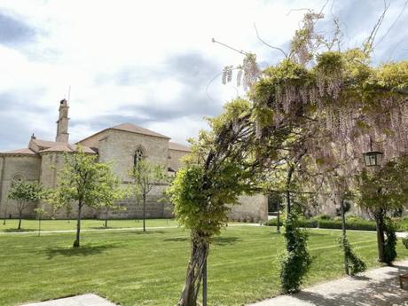 Sardón de Duero: un lugar con el que soñar Sardón de Duero: un lugar con el que soñar