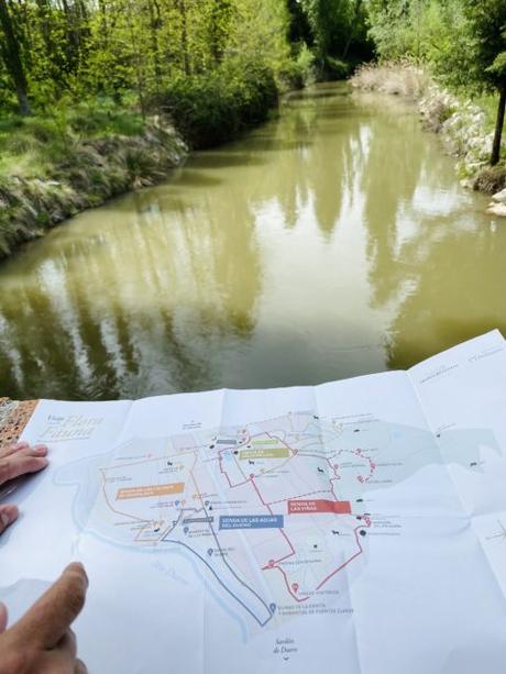 Sardón de Duero: un lugar con el que soñar Sardón de Duero: un lugar con el que soñar