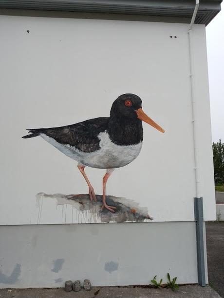 Jean Larson y las aves de Önundarfjörðu (Flateyri) Jean Larson y las aves de Önundarfjörðu (Flateyri)