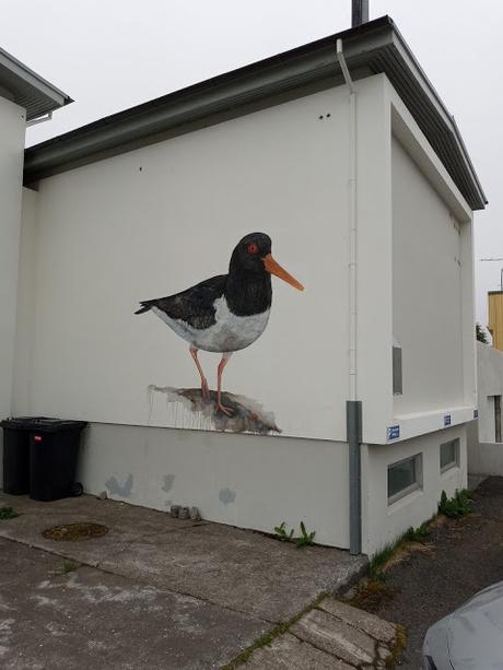 Jean Larson y las aves de Önundarfjörðu (Flateyri) Jean Larson y las aves de Önundarfjörðu (Flateyri)