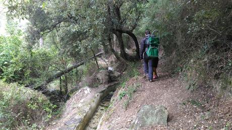Sendero al Clot d'en Goda Sendero al Clot d'en Goda