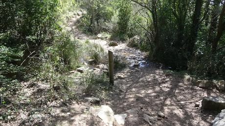 Font del Roure Font del Roure