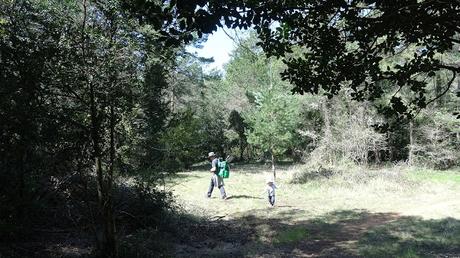 Pla del Bosc Pla del Bosc