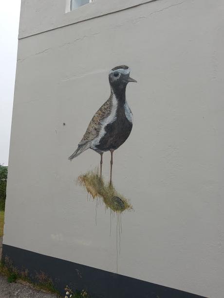 Jean Larson y las aves de Önundarfjörðu (Flateyri)