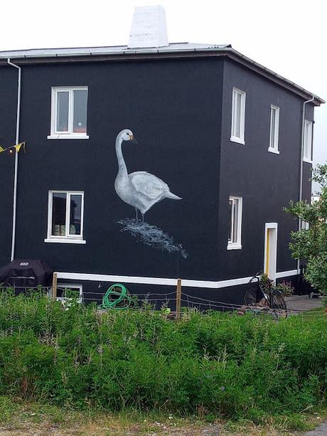 Jean Larson y las aves de Önundarfjörðu (Flateyri)