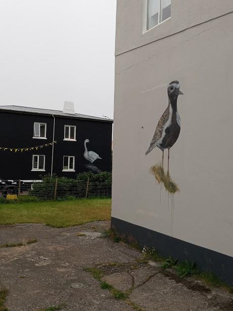 Jean Larson y las aves de Önundarfjörðu (Flateyri)