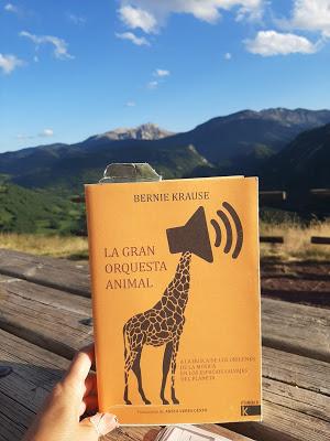 Experimento. Miércoles 4 de agosto