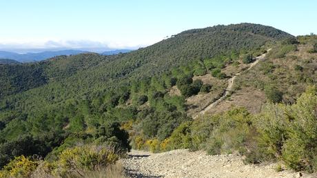 La Selva del Camp - Ermita de Sant Pere del Puig - Camí del Rec | Baix Camp (Tarragona) La Selva del Camp - Ermita de Sant Pere del Puig - Camí del Rec | Baix Camp (Tarragona)