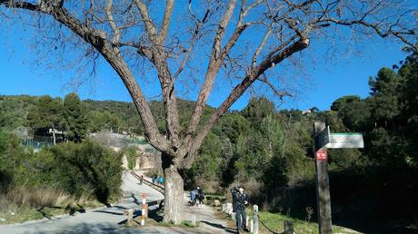 Passeig de la Muntanya
