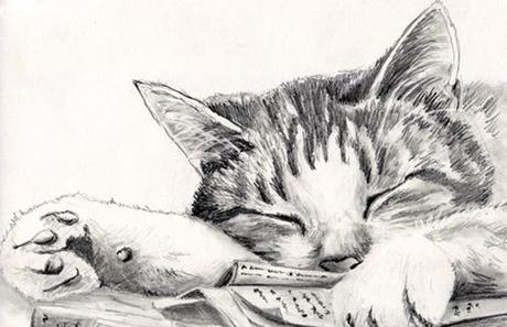 LOS LITEGATOS II. ESTA VEZ CON CANAUTORES Y UN CONEJO COMECABLES…