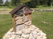 hoteles para insectos