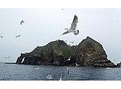 disputa unas islas sido participación #CoreadelNorte estos Juegos