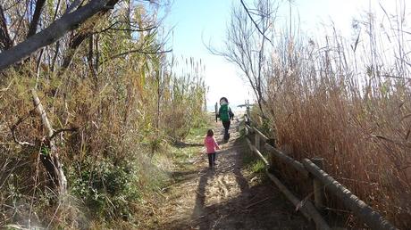 Camí d'Altafulla a Ferran
