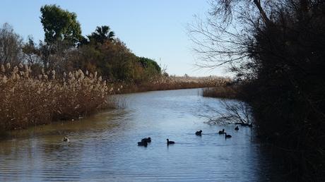 Río Gaià