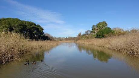 Desembocadura del río Gaià