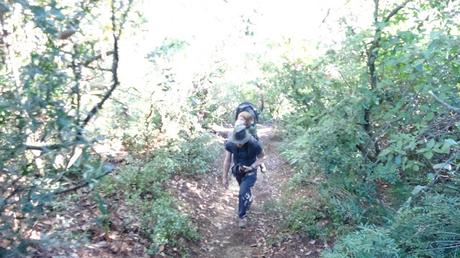Sendero al Coll de Canyelles Sendero al Coll de Canyelles