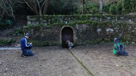 Font Muguera Font Muguera