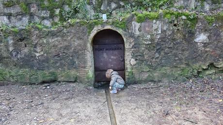 Font Muguera Font Muguera