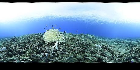 Refugiados climáticos - Miguel Pajares