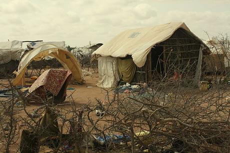 Refugiados climáticos - Miguel Pajares