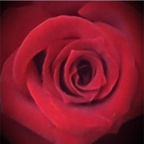 El Reto de la Salud Mental