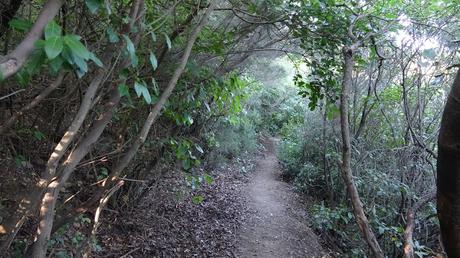 Camí de Sant Cebrià
