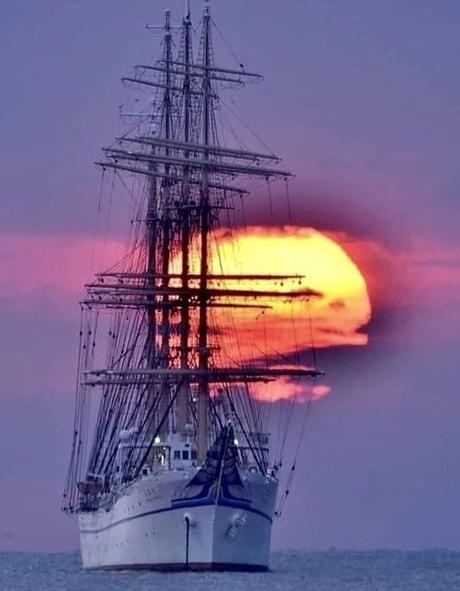 La exaltación de la dictadura. ¿De qué se ríe el Emérito? Y... deportista españoles anti Vox en las Olimpiadas de Tokio.