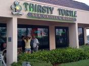 Thirsty turtle seagrill