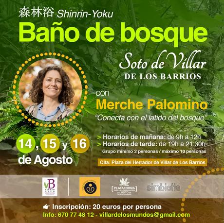 El soto de Villar de los Barrios escenario de nuevo este fin de semana de Baños de bosque 2