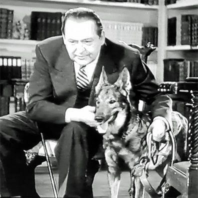 OJOS EN LA NOCHE (EYES IN THE NIGTH) (USA, 1942) Intriga, Policíaco, Espionaje OJOS EN LA NOCHE (EYES IN THE NIGTH) (USA, 1942) Intriga, Policíaco, Espionaje