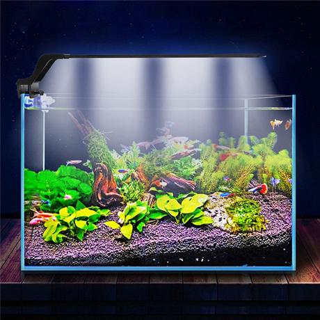 Blue White Led Adjustable Aquarium Fish Tank Lamp Super Slim Clip On Light 10 Gallon Fish Tank Aquarium Fish Tank Fish Tank