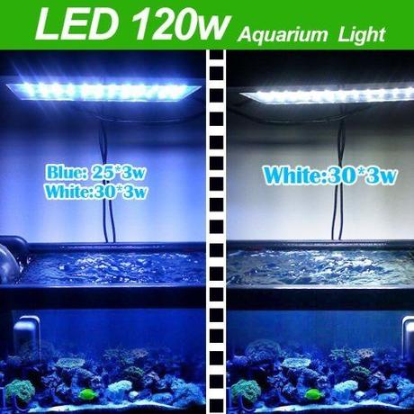 Aquarium Fish Tank Blue And White Led Light - Paperblog