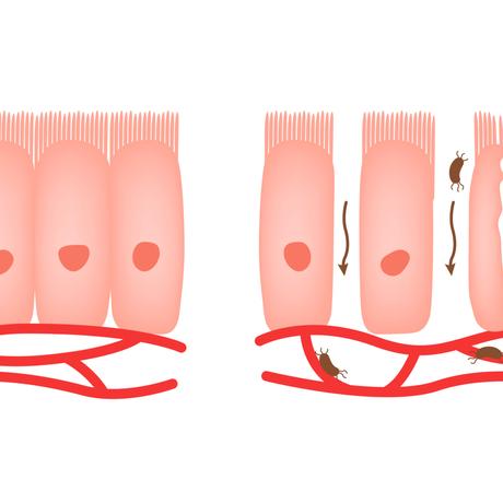 Hace ya varios años comencé estudiando un semestre de la ...