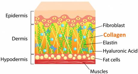Hace ya varios años comencé estudiando un semestre de la ...