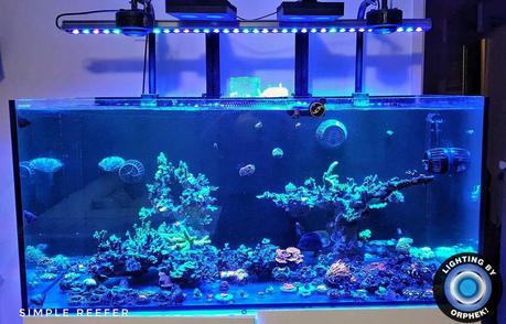 Blue Led Aquarium Light Bar