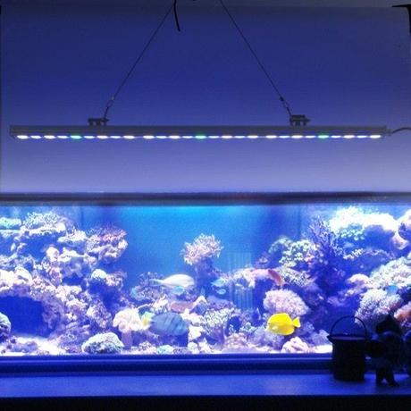 Mars Aqua 300 Watt Led Modification Mylife Fish Tank Lights Aquarium Lighting Led Aquarium Lighting