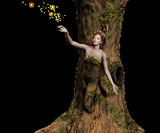 Guinda Fresca Guinda Fresca