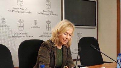 Sara Álvarez - Diputada Parlamento Asturias - LA DESINFORMACIÓN AL CIUDADANO ES TOTAL