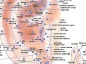 Auriculoterapia. Mapa puntos. usos para adelgazar, ciática, dejar fumar, ansiedad insomnio