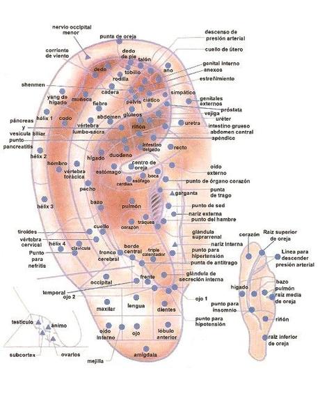 mapa auriculoterapia