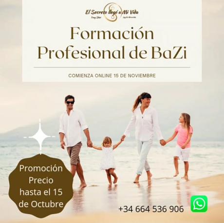 Formación Profesional de BaZi