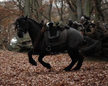 Tolkien, caballos y guerra: Verdades, curiosidades y equivocaciones