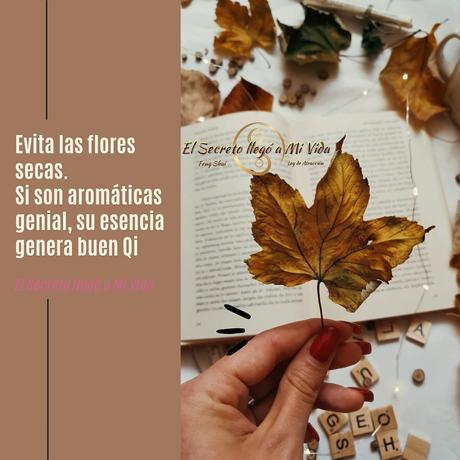 Flores secas si o no?