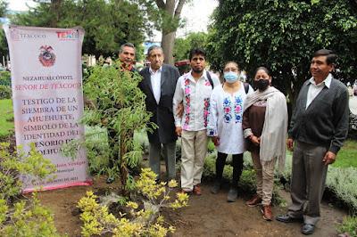 SIEMBRAN AHUEHUETE EN MEMORIA DEL PASADO E IDENTIDAD DEL PUEBLO MEXICA Y DE TEXCOCO
