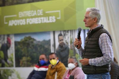 IMPULSA ALFREDO DEL MAZO ACCIONES PARA EL CUIDADO DE LOS BOSQUES MEXIQUENSES, FUNDAMENTALES PARA UN MEJOR MEDIO AMBIENTE