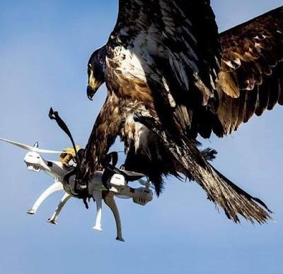 José Antonio Sánchez, un manipulador sin complejos… Y Ayuso, de vacaciones en Ibiza.