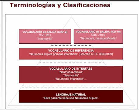 ¿Qué es una Terminologías de Interfase y que importancia tienen en Medicina?