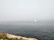 Niebla agosto Feria Gema